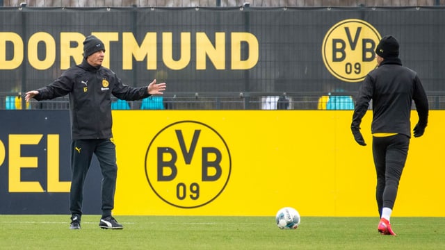Lucien Favre auf dem Trainingsplatz Lucien Favre auf dem Trainingsplatz