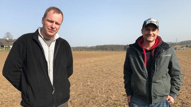 Zwei Männer stehen auf einem Feld Zwei Männer stehen auf einem Feld