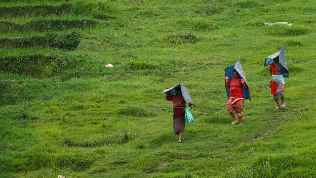 Drei Bauern auf einer Wiese mit Regenschutz überm Kopf. Drei Bauern auf einer Wiese mit Regenschutz überm Kopf.