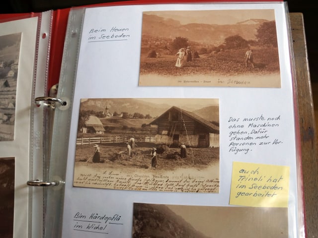 Eine Seite in einem Fotoalbum mit alten Fotografien. Eine Seite in einem Fotoalbum mit alten Fotografien.