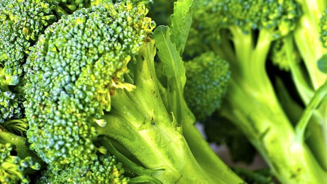 Broccoli Broccoli