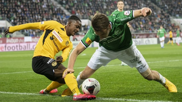 Eine Finalissima zwischen den Young Boys und dem FC St. Gallen wäre der Höhepunkt der Saison. Eine Finalissima zwischen den Young Boys und dem FC St. Gallen wäre der Höhepunkt der Saison.