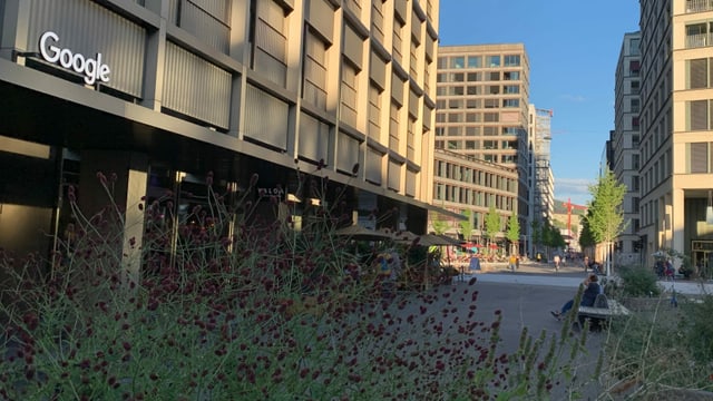 Blick auf eines der Google-Gebäude in der Europa-Allee. Blick auf eines der Google-Gebäude in der Europa-Allee.