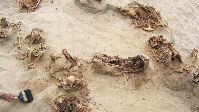 Halb aus dem Sand ragende Skelette und eine Hand mit Pinsel. Halb aus dem Sand ragende Skelette und eine Hand mit Pinsel.