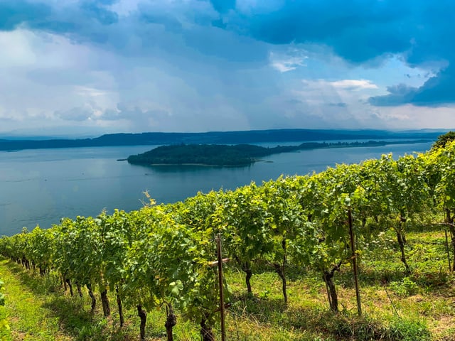 Sonne und Regenschauer über dem Bielersee mit Blick von den Rebbergen (Ligerz/BE) zur St. Petersinsel.