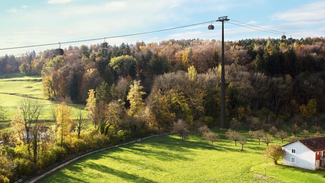 Eine Seilbahn fährt über einen Wald Eine Seilbahn fährt über einen Wald