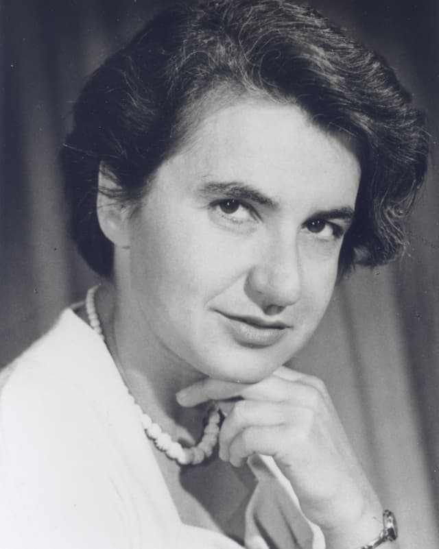 Porträt von Rosalind Franklin Porträt von Rosalind Franklin