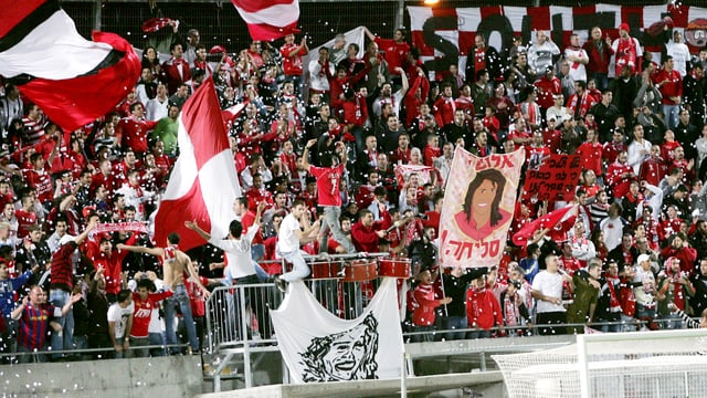Fans Fans