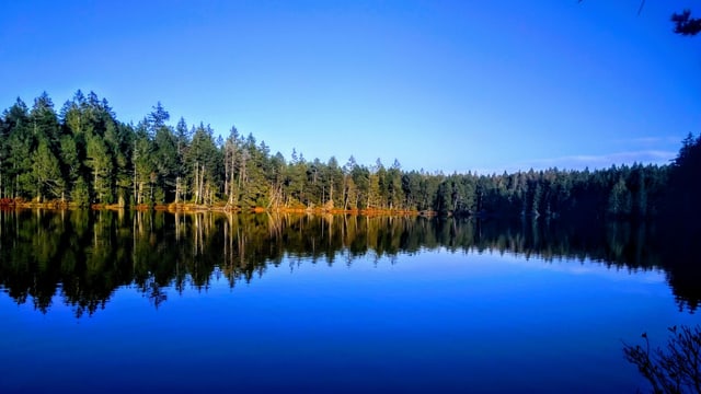 Am Samstag war es am Etang de la Gruère wolkenlos und mild. Am Samstag war es am Etang de la Gruère wolkenlos und mild.