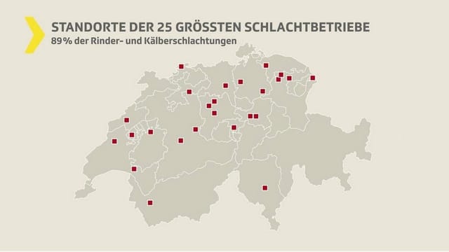 Schlachthöfe in der Schweiz Schlachthöfe in der Schweiz