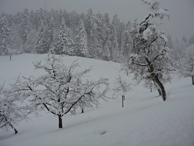 Verschneite Landschaft.