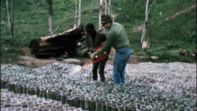 Video «Wir kamen, um zu helfen» abspielen Video «Wir kamen, um zu helfen» abspielen