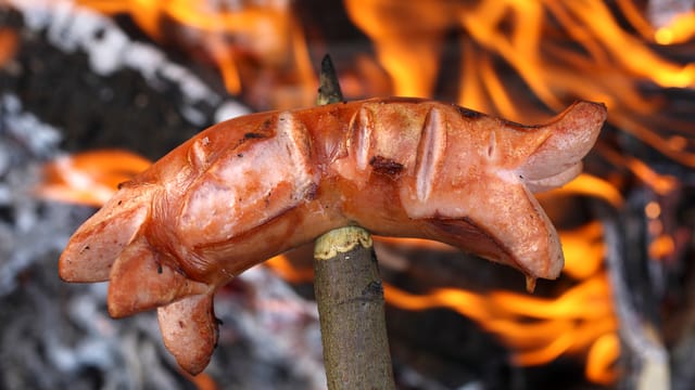 Cervelat über Feuer Cervelat über Feuer