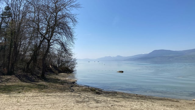 Der Neuenburgersee. Der Neuenburgersee.