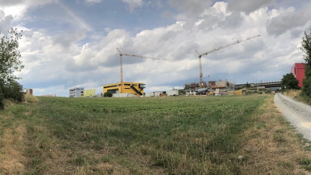Eine Wiese. Im Hintergrund sieht man Wohnblocks und zwei Krans. Eine Wiese. Im Hintergrund sieht man Wohnblocks und zwei Krans.