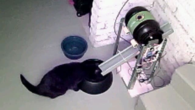Sancho und ihr Sanco-o-Mat aus Sicht der Webcam. Sancho und ihr Sanco-o-Mat aus Sicht der Webcam.