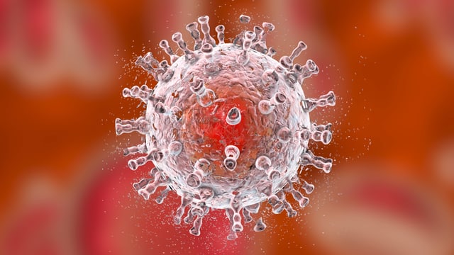 Schematische Darstellung des HI-Virus. Schematische Darstellung des HI-Virus.