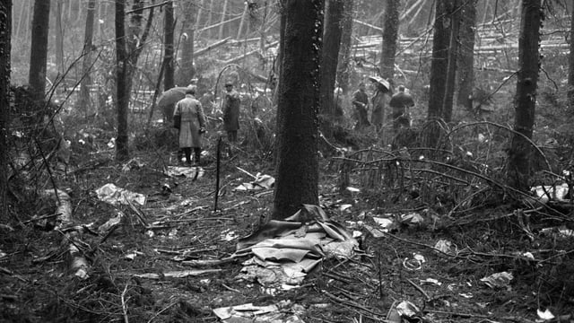 Trümmer im Wald, Menschen stehen herum. Trümmer im Wald, Menschen stehen herum.