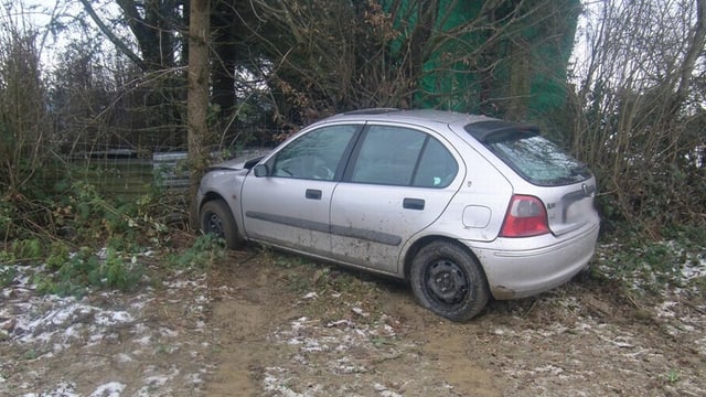 Ein Auto das gegen einen Baum gefahren ist Ein Auto das gegen einen Baum gefahren ist