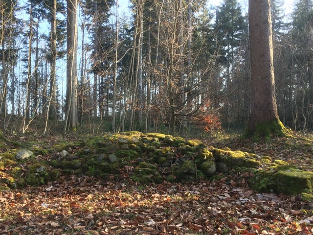 Eine von Moos überzogene Mauer. Eine von Moos überzogene Mauer.