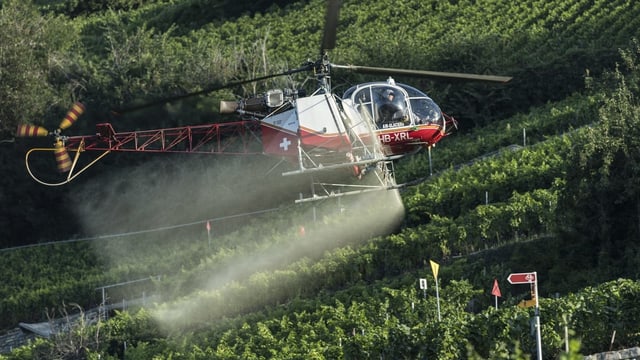 Helikopter spritzt Pestizide auf Feld. Helikopter spritzt Pestizide auf Feld.