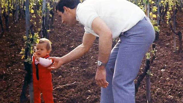 Ein kleiner Junge mit seinem Vater in den Reben. Ein kleiner Junge mit seinem Vater in den Reben.