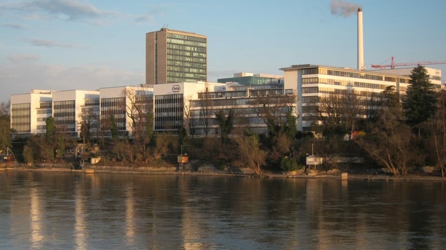 Roche-Gebäude am Rhein Roche-Gebäude am Rhein