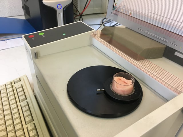 Schweinefleischprobe Schweinefleischprobe
