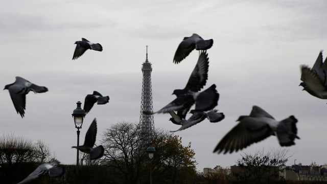 In grisch di per Paris. In grisch di per Paris.
