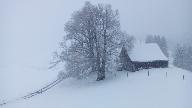 Oberhalb von Gonten herrschte am Sonntagmorgen tiefster Winter! Oberhalb von Gonten herrschte am Sonntagmorgen tiefster Winter!