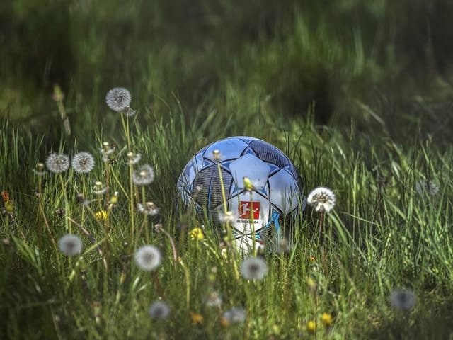 Ein Ball liegt im hohen Gras.