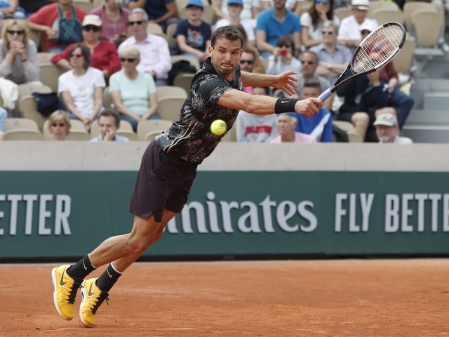 Grigor Dimitrov. Grigor Dimitrov.