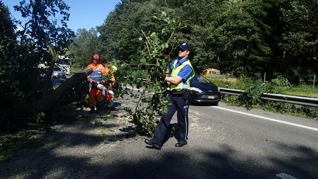 Polizist räumt auf Autobahn Äste weg. Polizist räumt auf Autobahn Äste weg.