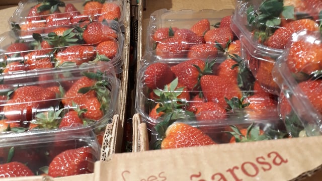 Rote Beeren Rote Beeren