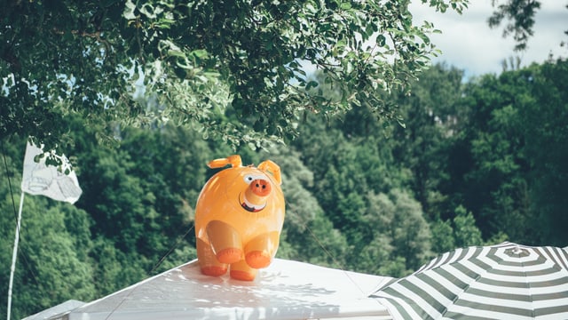 Stell dir vor, du wachst am Morgen auf, öffnest dein Zelt und als erstes strahlt dich gleich dieses Schweinchen an – easy härzig, nöd? Stell dir vor, du wachst am Morgen auf, öffnest dein Zelt und als erstes strahlt dich gleich dieses Schweinchen an – easy härzig, nöd?