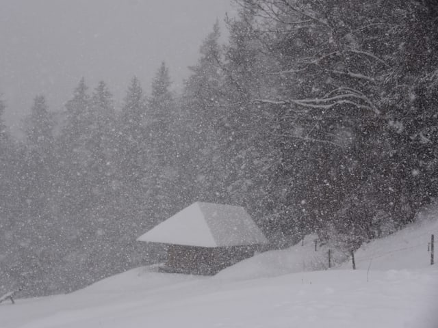 Dicke Flocken fallen vom Himmel und hüllen eine Hütte, die Bäume und die Felder davor, in ein dickes Winterkleid.