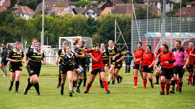 Rugby Rugby