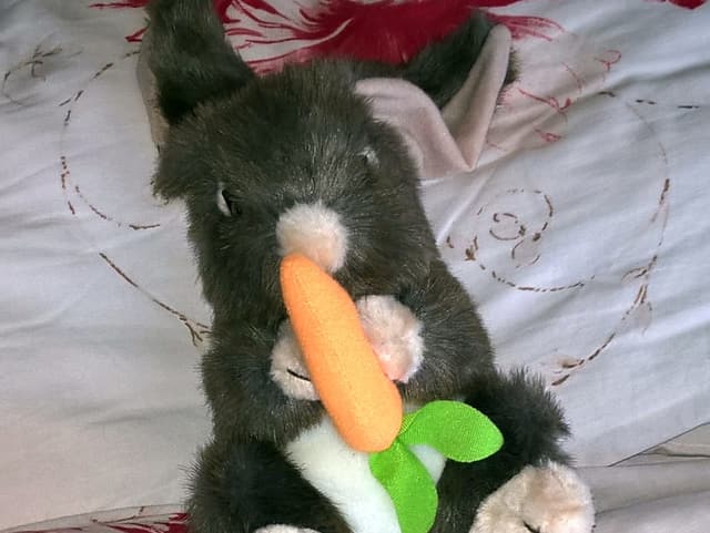 Plüschhase liegt auf Krankenbett.