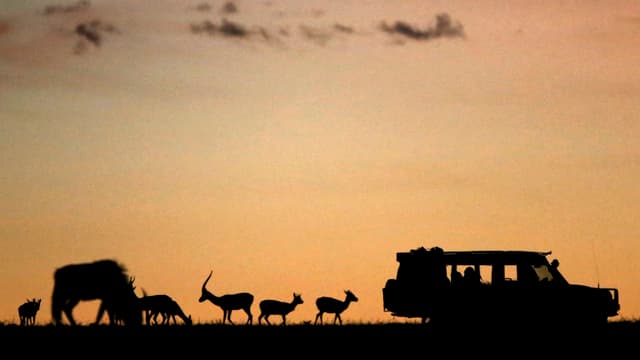 Die Kulisse eines Autos und mehrerer Tiere in Afrika. Die Kulisse eines Autos und mehrerer Tiere in Afrika.