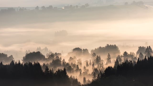 Vom Raten gab es am 5. September einen schönen Blick auf Morgennebelfelder. Vom Raten gab es am 5. September einen schönen Blick auf Morgennebelfelder.