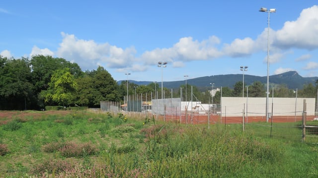 Wiese neben Tennisplatz Wiese neben Tennisplatz