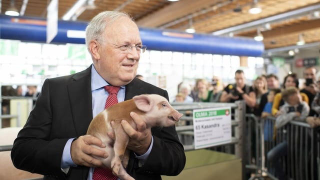 Johann Schneider-Ammann und ein Säuli. Johann Schneider-Ammann und ein Säuli.