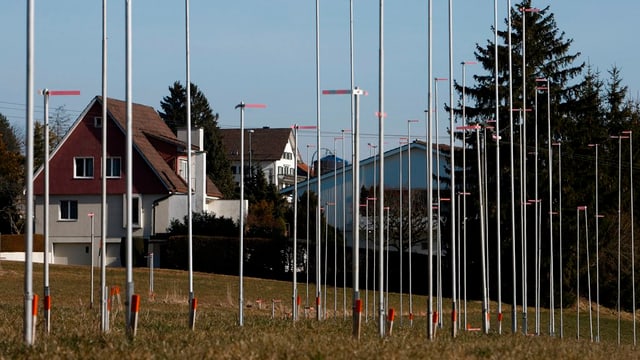 Bauprofile auf einer Wiese Bauprofile auf einer Wiese