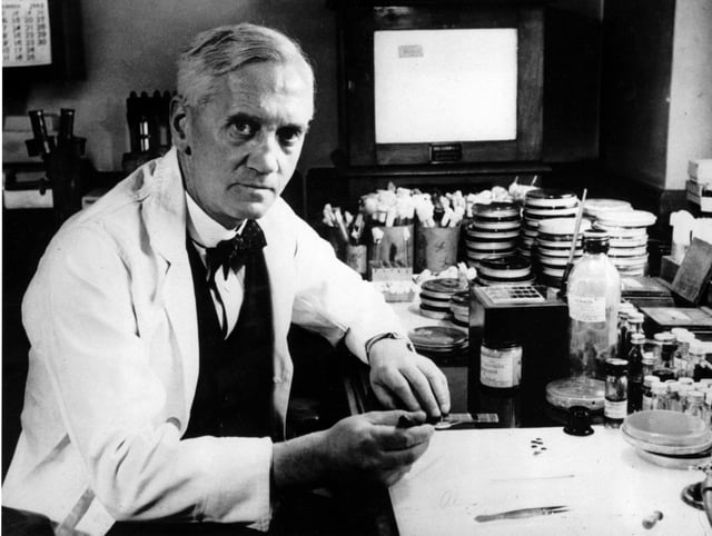 Porträt von Alexander Fleming, dem Erfinder von Penizillin in seinem Labor. Porträt von Alexander Fleming, dem Erfinder von Penizillin in seinem Labor.