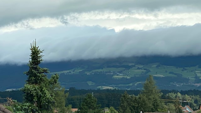 Blick von Herzogenbuchsee Blick von Herzogenbuchsee