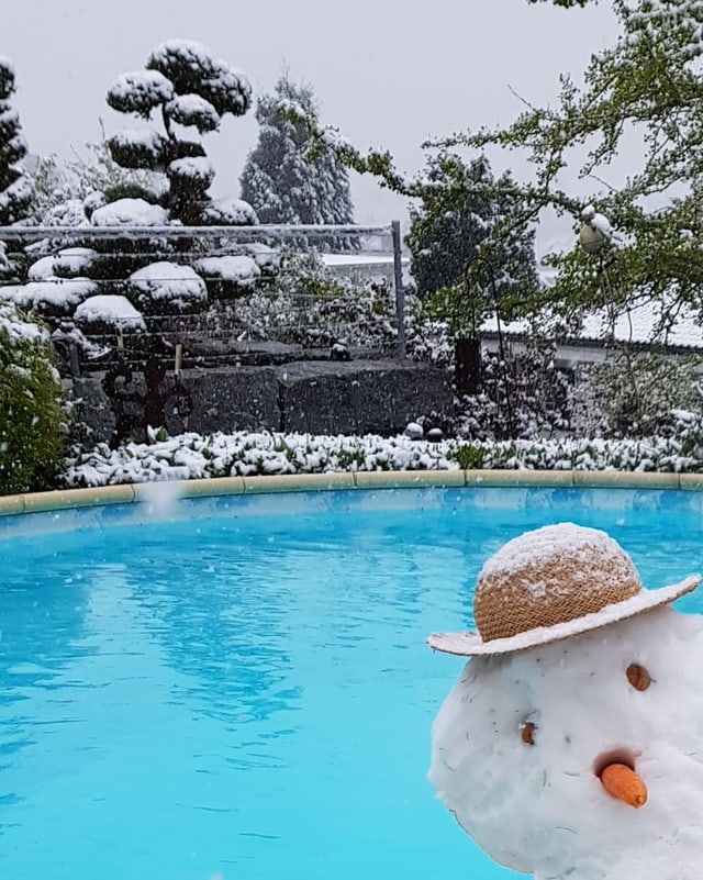 Ein Schneemann am Pool.