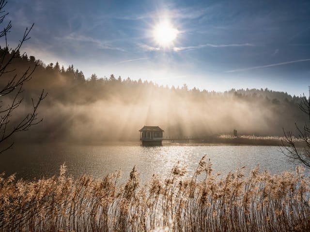 Mystische Stimmung auf dem Wenigerweiher in St. Gallen/SG.