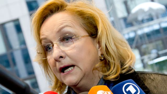 Fekter im Porträt. Fekter im Porträt.