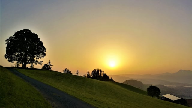 Sonnenaufgang am Holderchäppeli. Krete mit einem Baum, daneben die Sonne im Saharastaub. Sonnenaufgang am Holderchäppeli. Krete mit einem Baum, daneben die Sonne im Saharastaub.