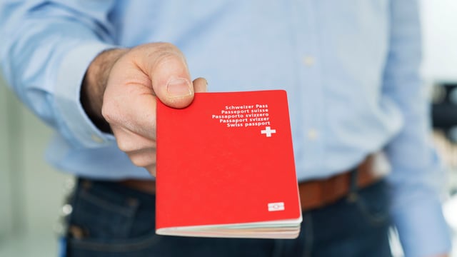 Mann mit Pass Mann mit Pass